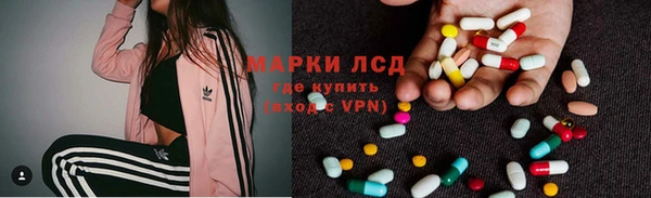 дживик Аркадак