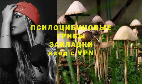 гидра Семикаракорск