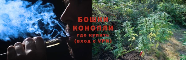 дживик Аркадак