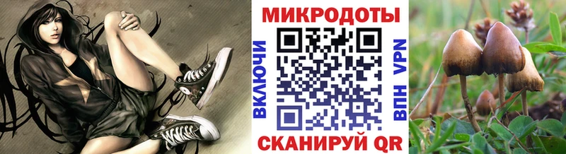 Галлюциногенные грибы Magic Shrooms  Ленск 